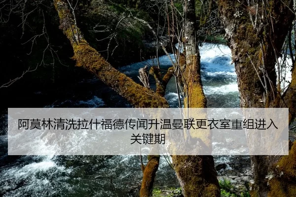 阿莫林清洗拉什福德传闻升温曼联更衣室重组进入关键期