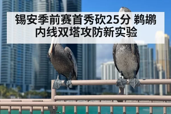 pelicans twin towers defense